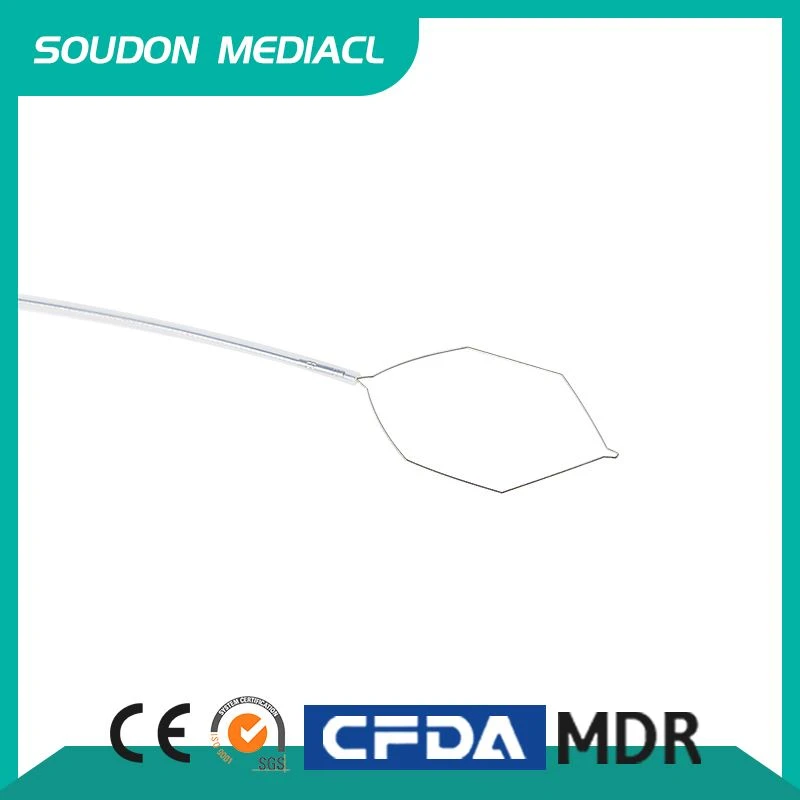 Snare Polyp Endoscopy